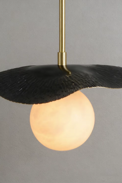 Aira Petal Globe Pendant